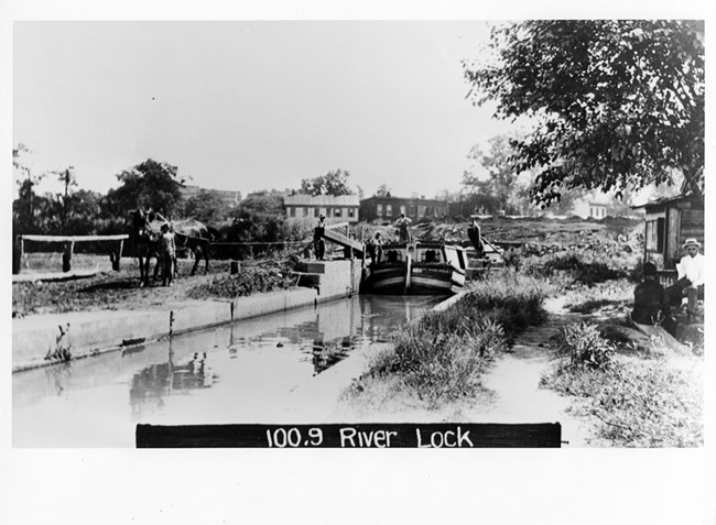 Unhitching the mules at the lock
