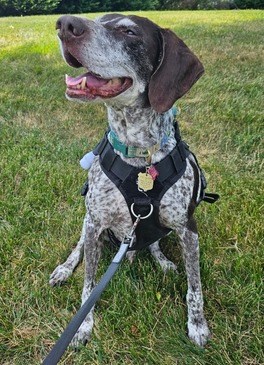 B.A.R.K. Ranger Kaiser