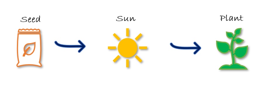 A brown bag of seed with blue arrows pointing to the bright yellow sun and a green growing plant.