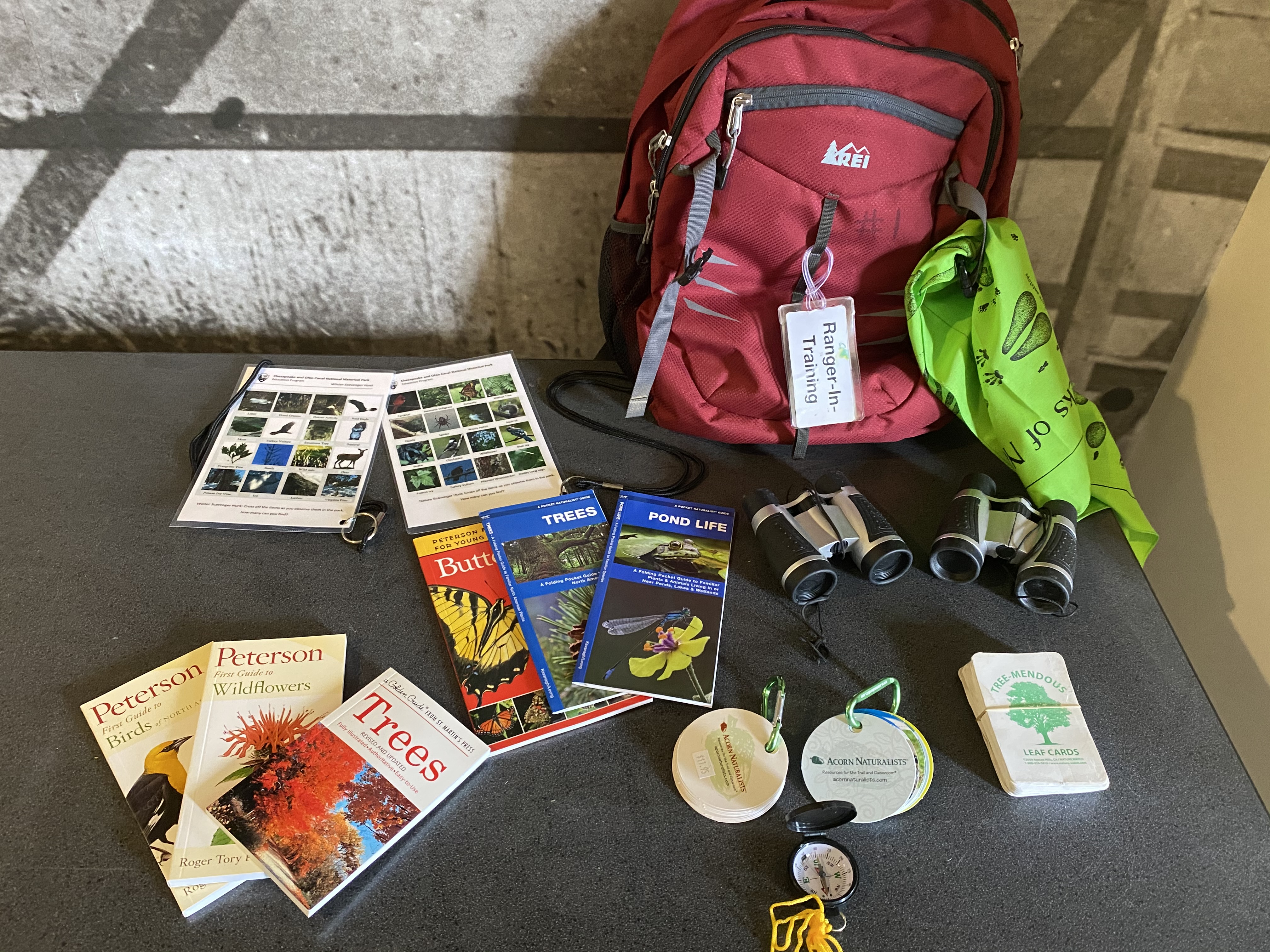 Field guides, identification cards, navigation, and other assorted items used to build an explorer backpack.