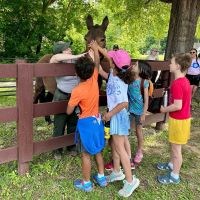 Students petting a park mule