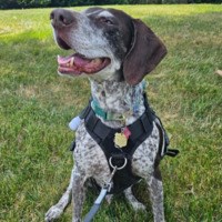 B.A.R.K. Ranger Keiser