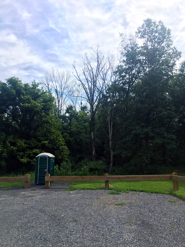 Dead Tree near Porta Potty