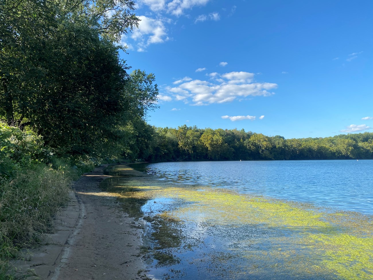 A downstream view of the Potomac River with trees lining the banks