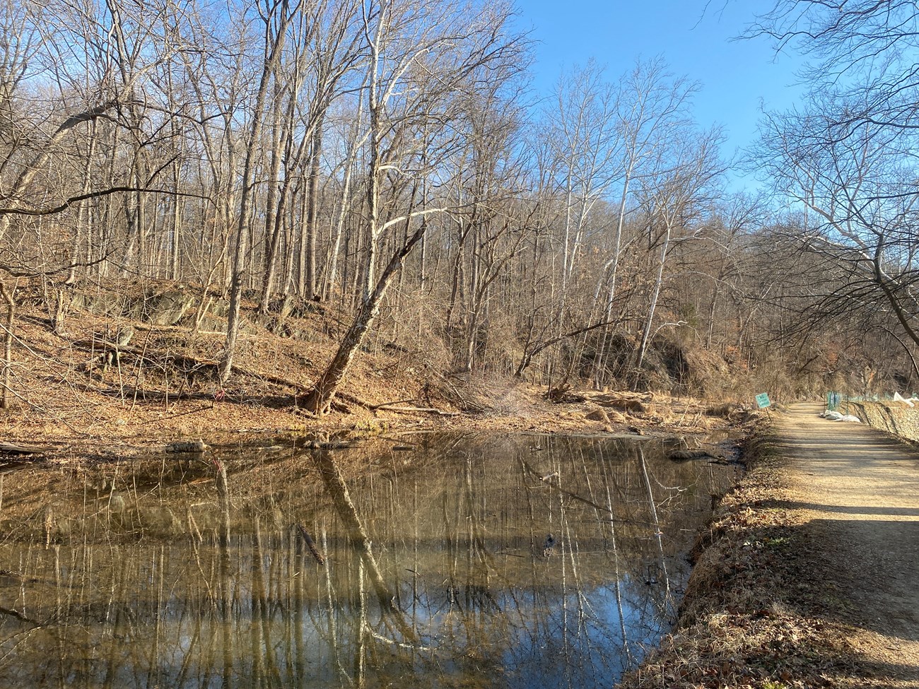 A watered canal prism with sediment build up in it and a dirt path running to the right of it