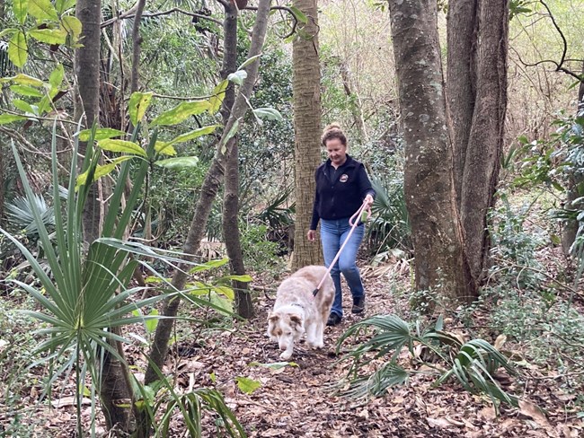 A woman walks on a trail with her white fluffy dog, who is on a leash. The trail features natural South Carolina plants, including live oak trees and palms.