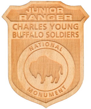 Jr Ranger Badge