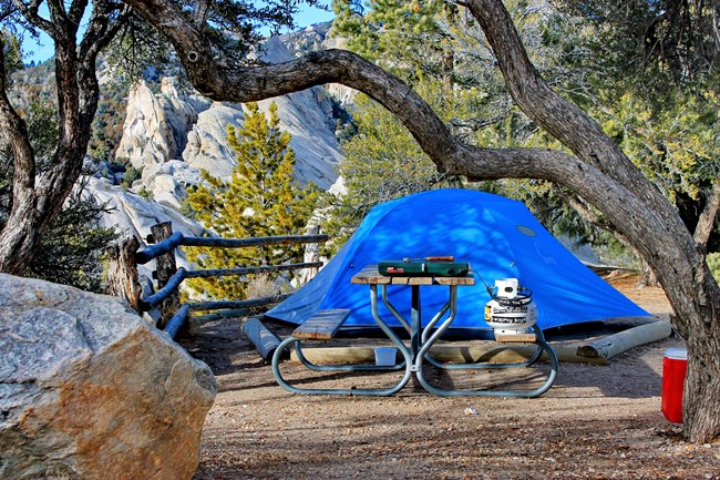 Campsite 37 with blue tent in shade of Mountain Mahogany