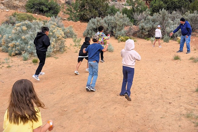 a group of students jumps across a sandy field surrounded by shrubs