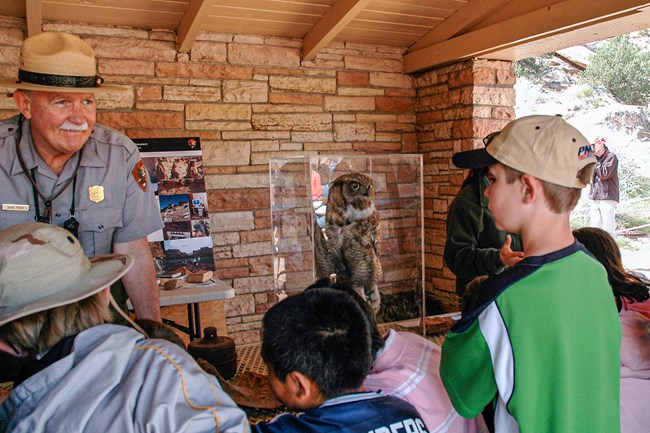 uniformed ranger looks at three students standing under stone pavilion and taxidermy owl