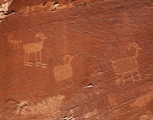 Petroglyphs depicting bighorn sheep on a red rock from Utah