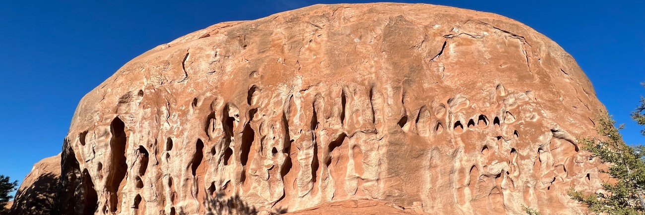 irregular holes ("tafoni") in Entrada sandstone