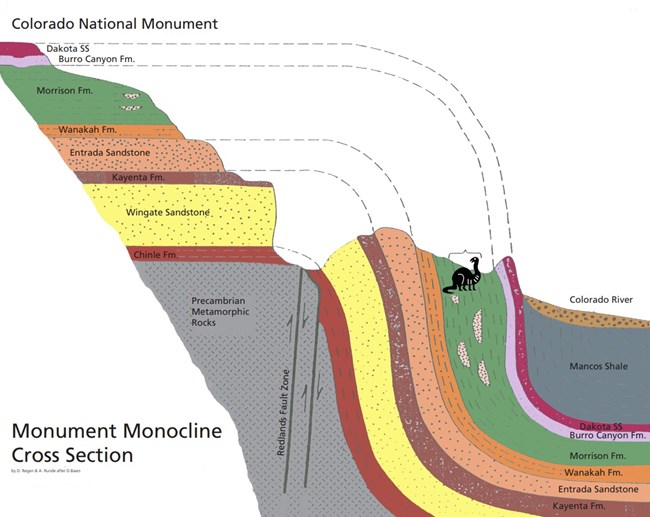 Generalized Cross Section of the Monument revealing bent rock layers