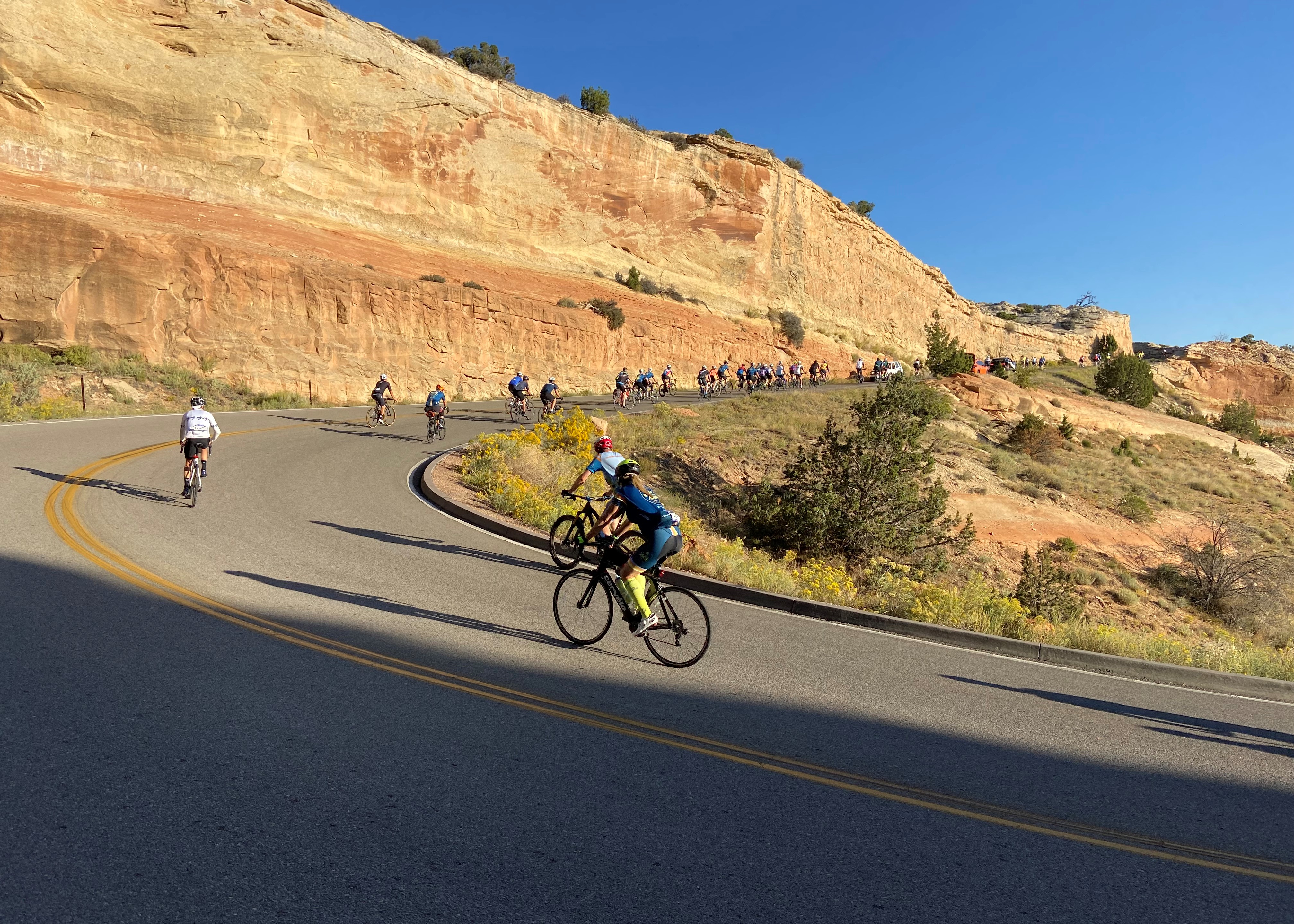 Dozens of athletes riding on road bicycles ascend a twisting curve on near Serpents Trail in Colorado National Monument.