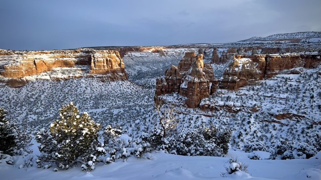 Red-orange sandstone cliffs shine in last light over snowy canyons