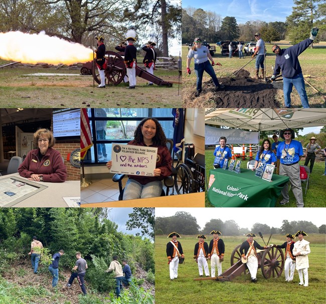Volunteer at COLO!