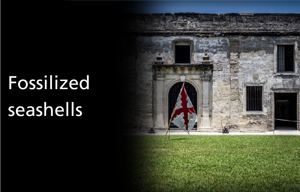 text on white background reading what is coquina?