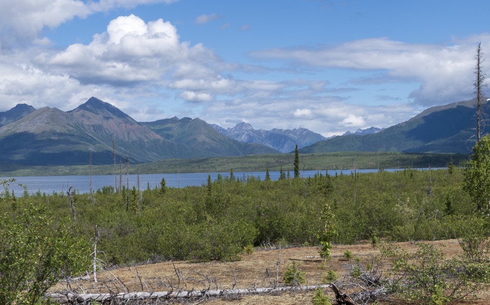 Black and white 1901 photograph of Walker Lake