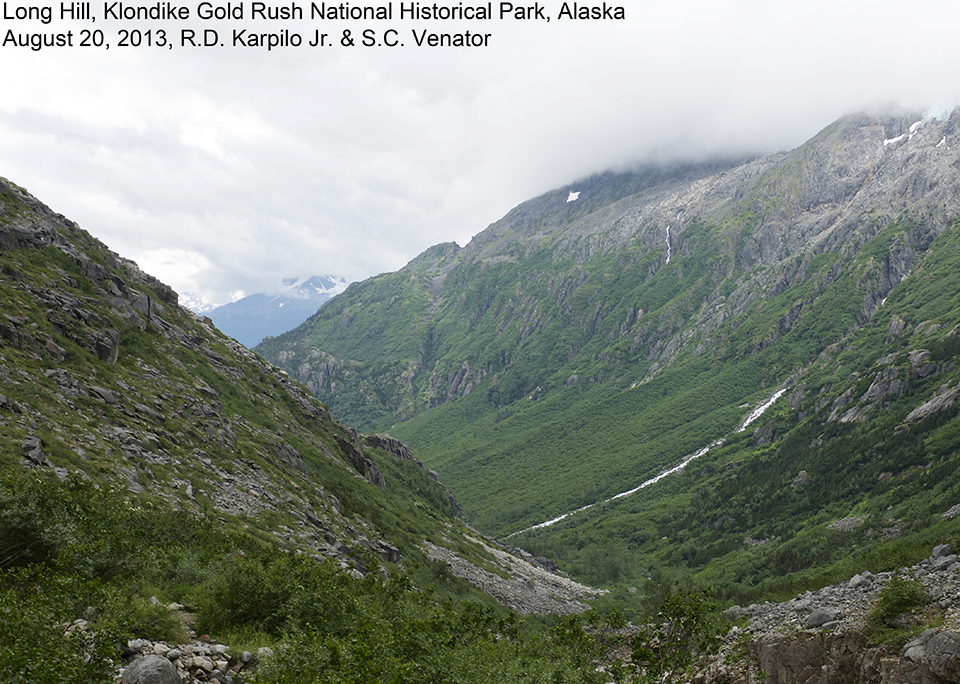 color image of vegetated hillside with green mountain in backdrop