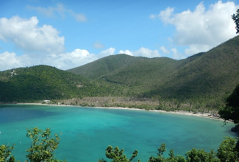 Maho Bay post Hurricane Irma