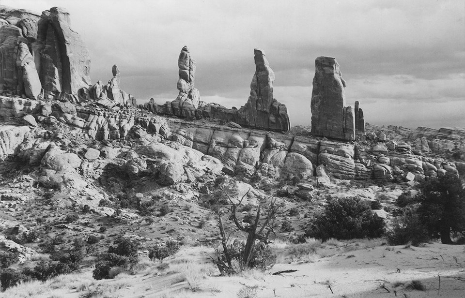 a black and white photo of stone spires a dead juniper tree is in the foreground with two living junipers to the right.