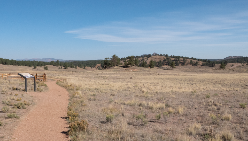 A grassy landscape with a distinct mountain on the horizon.