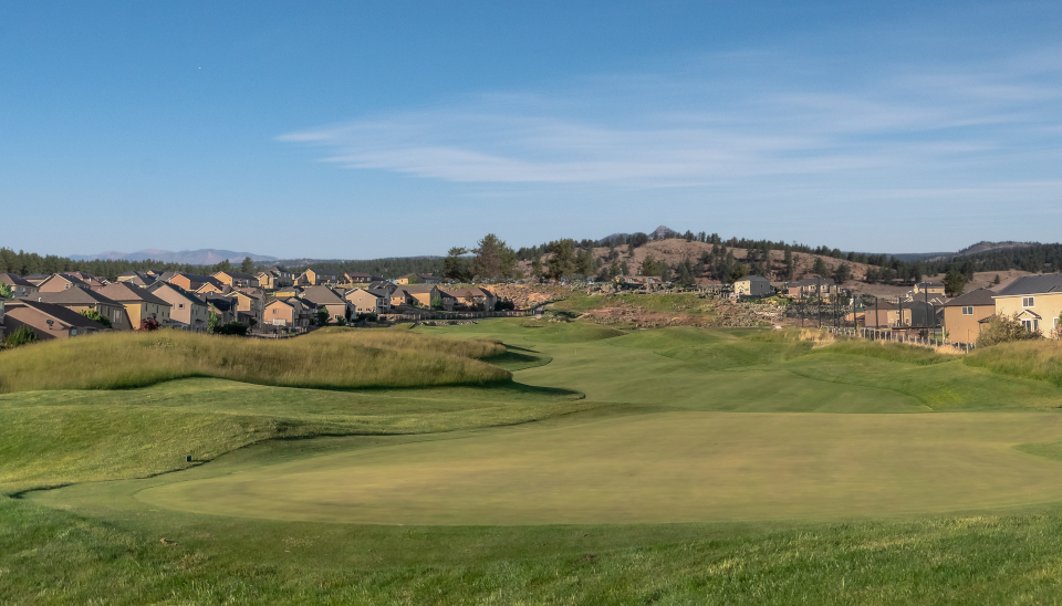 A grassy landscape with a distinct mountain on the horizon.