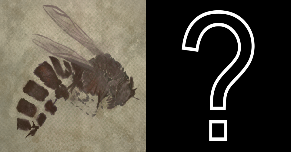 Text on image reads "Slide to Reveal Fossil," which also shows a white girl holding a butterfly net next to a round blue graphic containing pictures of insects and plants. On the right is an image of a dark brown colored fossilized wasp in a tan rock.