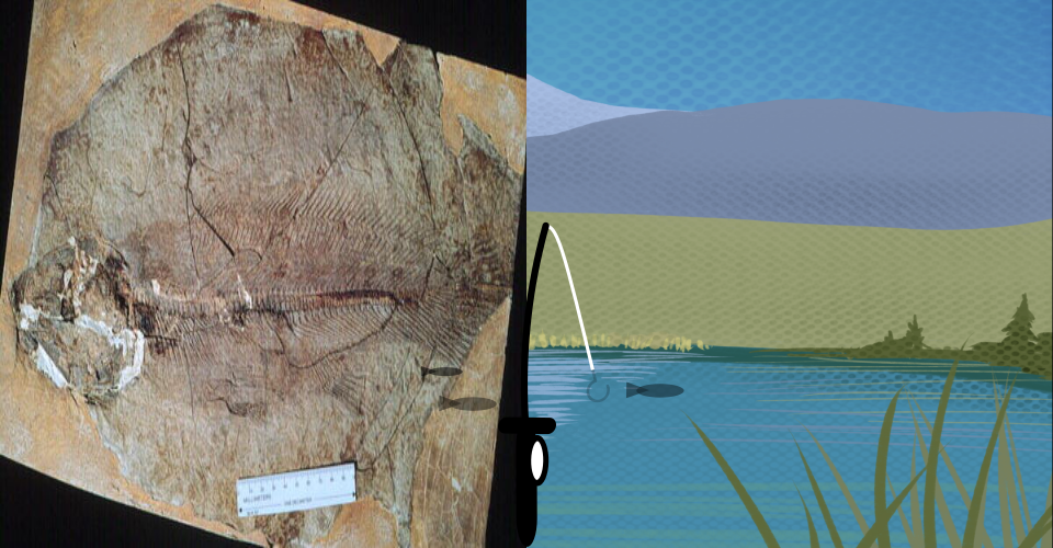 A view of the lake showing tall Redwoods near the edge. On the right is a fishing pole reeling in a large bowfin fish.