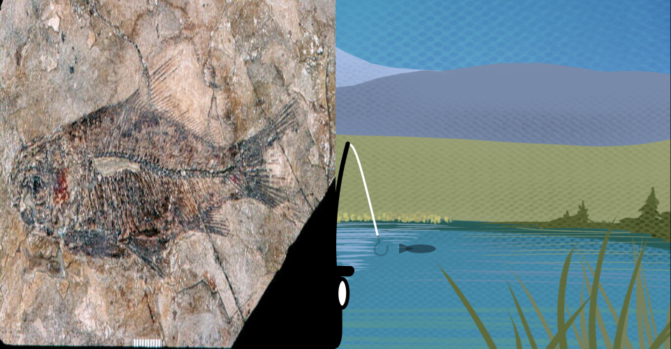 On the left is the lake with tall Redwood trees shown along with edge. A fishing pole reeling in a white colored sucker fish is show on the right side.