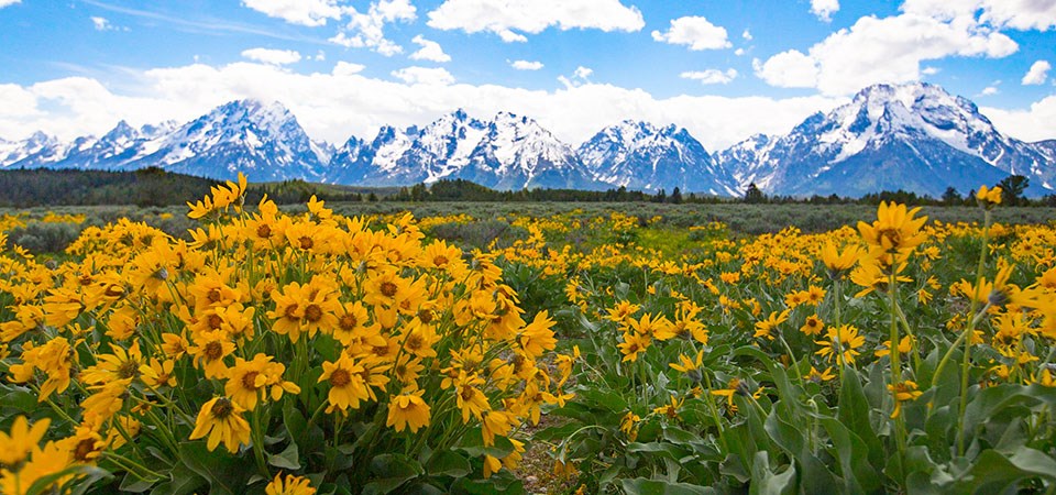 weather-grand-teton-national-park-u-s-national-park-service