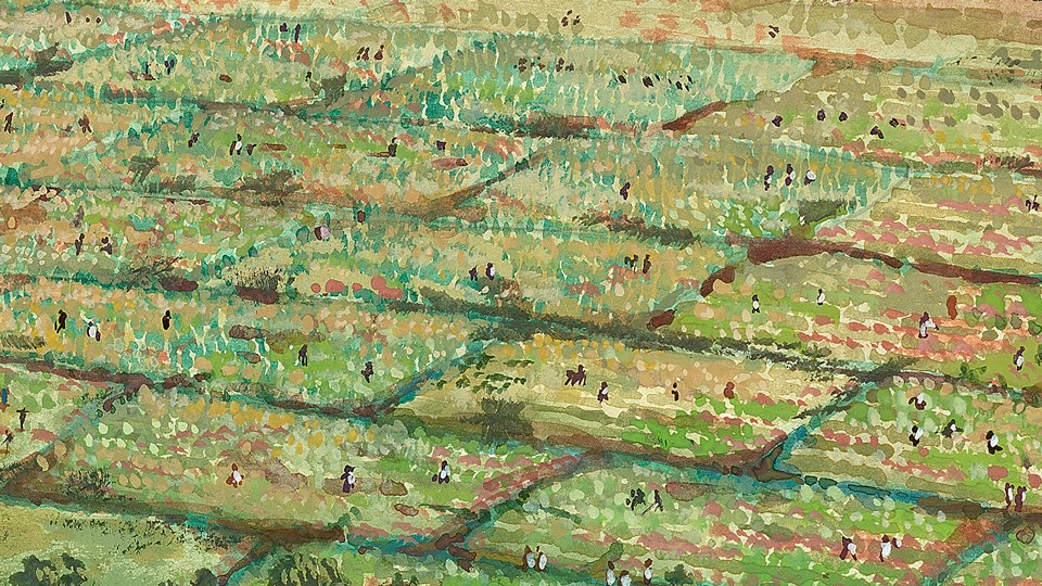 illustration of farm fields