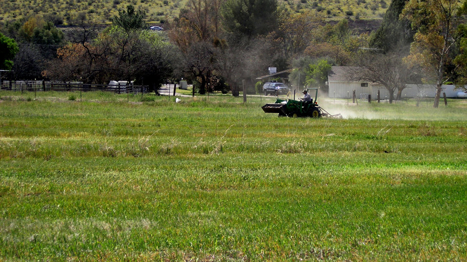 illustration of farm fields