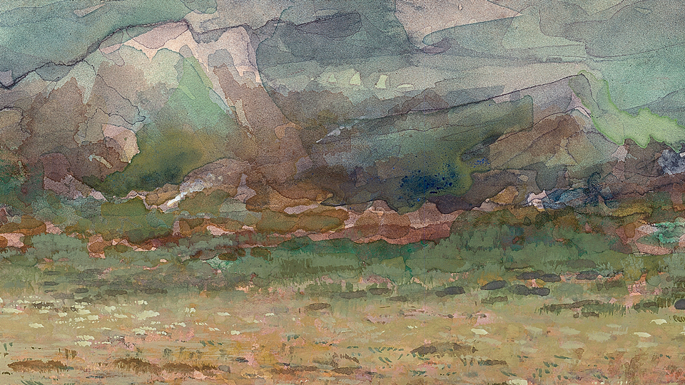 illustration of forest at base of mountain