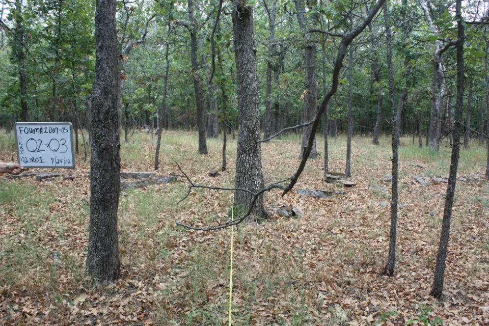 Monitoring plot, the white board shows the plot identification number, park identification, and the date.