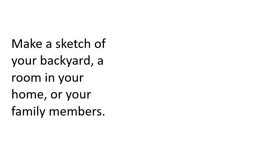 Task: Create a sketch of your backyard, a room in your home, or your family.