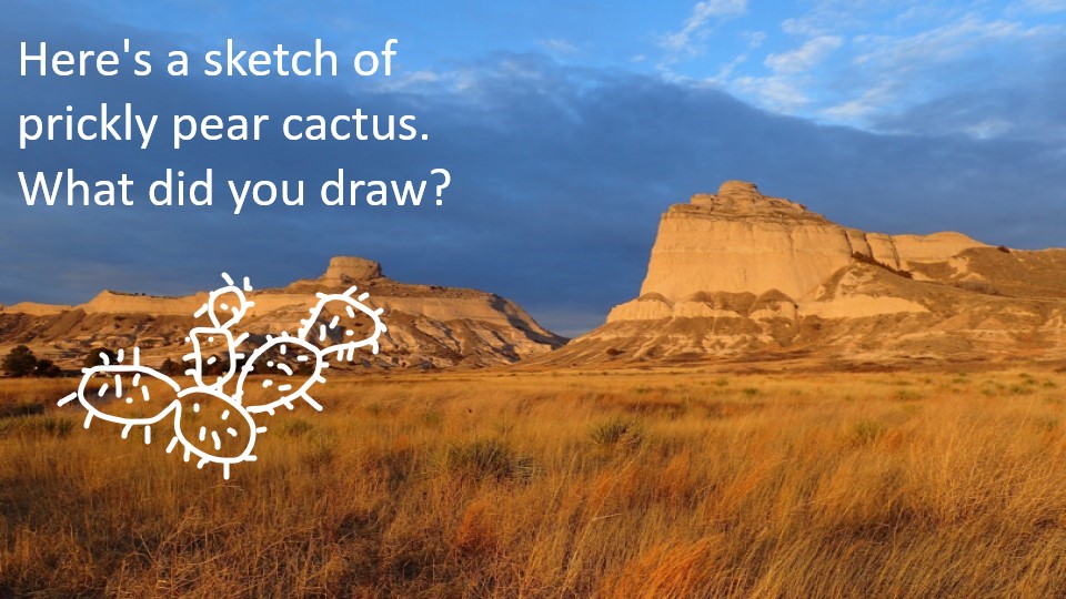 Task: Create a sketch of your backyard, a room in your home, or your family.