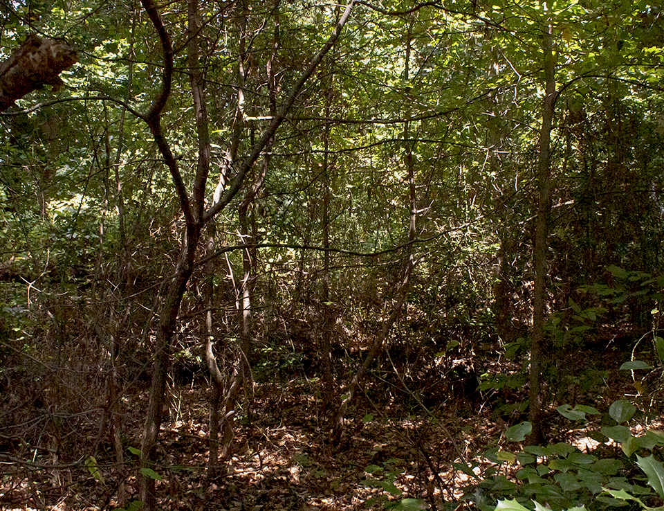 Soldiers pose with a large cannon on a fort wall
