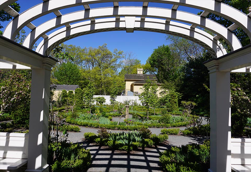 Black and white photograph of garden beds covered in snow framed by arch of pergola structure