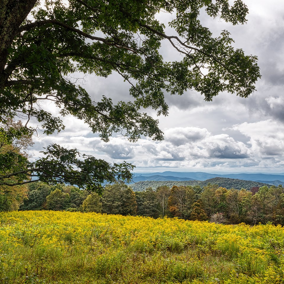 Fall in Shenandoah Shenandoah National Park (U.S. National Park Service)