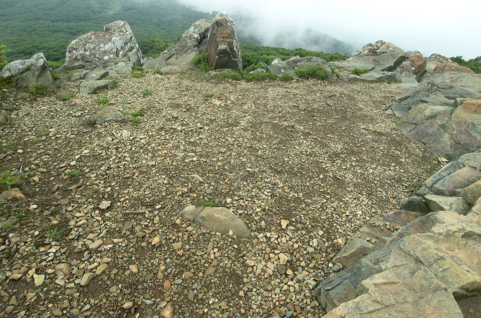 A flat area on a rock outcrop covered in vegetation.