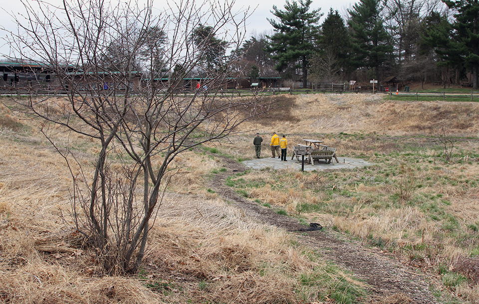 Tree and meadow with mainly brown grasses. Fence and building in background