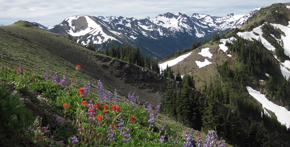 Aerial view of Olympic National Park