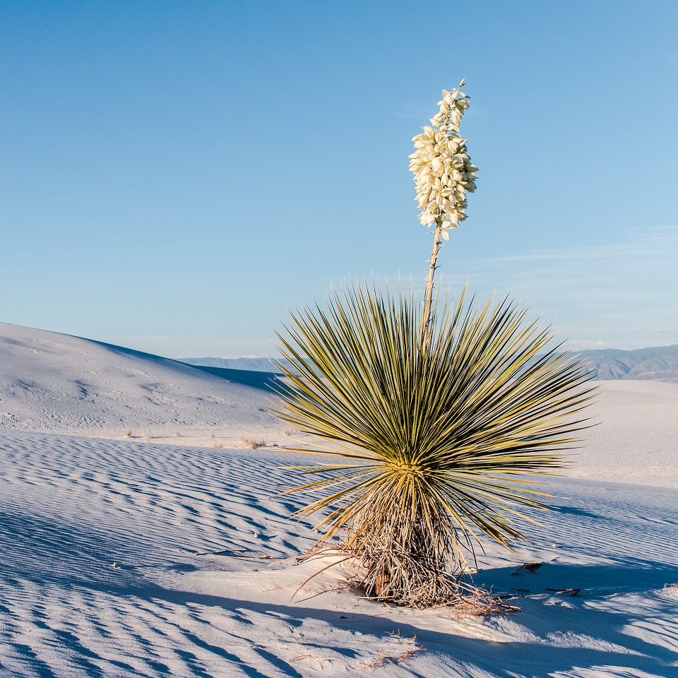 Aerial view of White Sands National Monument
