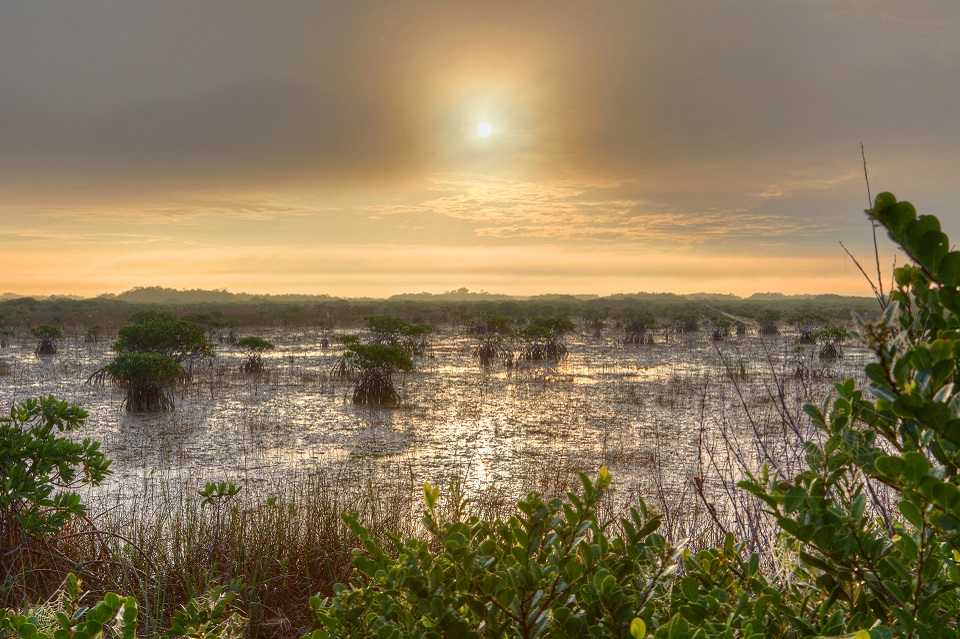 Aerial view of Everglades National Park and Florida Bay