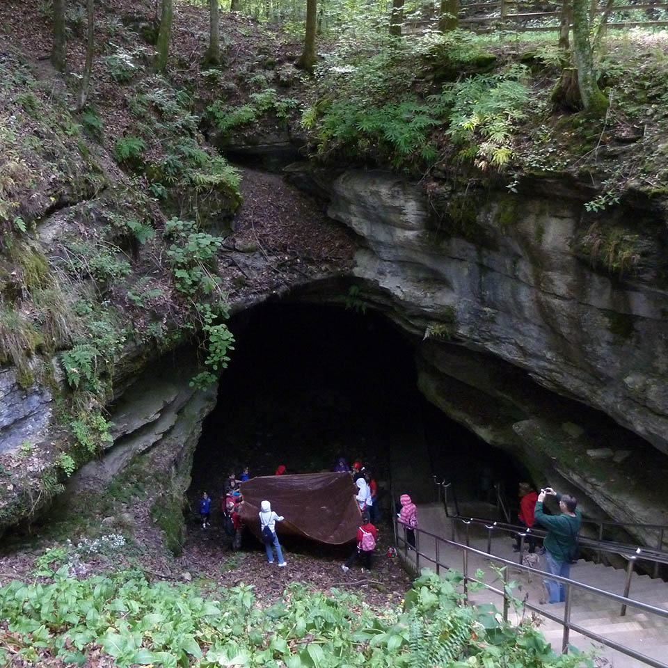 geologic map of mammoth cave national park near visitor center
