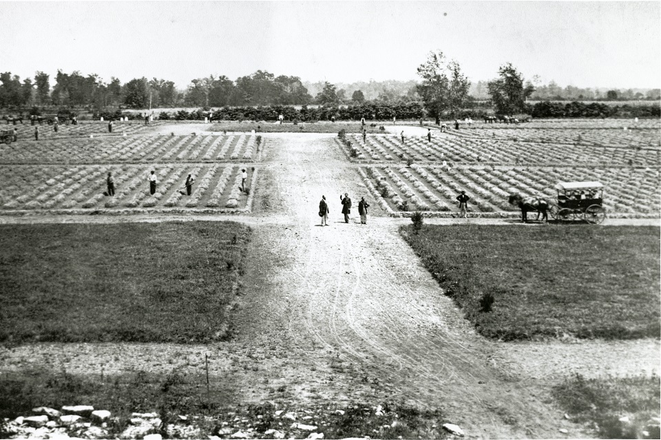 Left: Question: Which soldiers were responsible for reburying Union soldiers at Stones River National Cemetery? How many Union Soldiers are buried here? Right: Answer: The 111th United States Colored Infantry reburied most of the 6100 Union soldiers.
