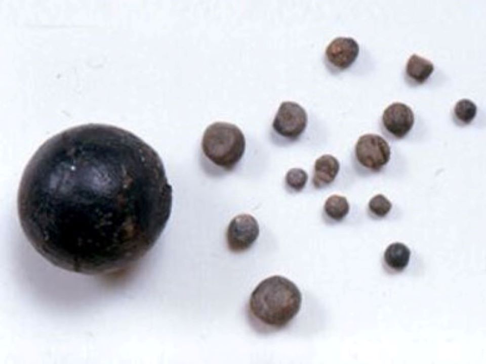 What Is It? Lead Musket balls and bird shot from the Menendez expedition guns.