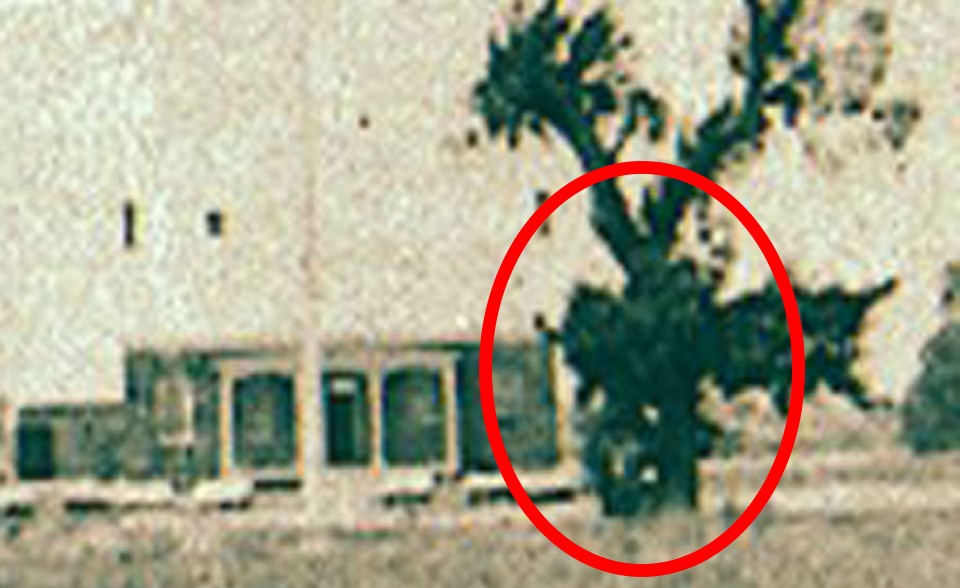 The Fort Larned Post Cemetery (U.S. National Park Service)