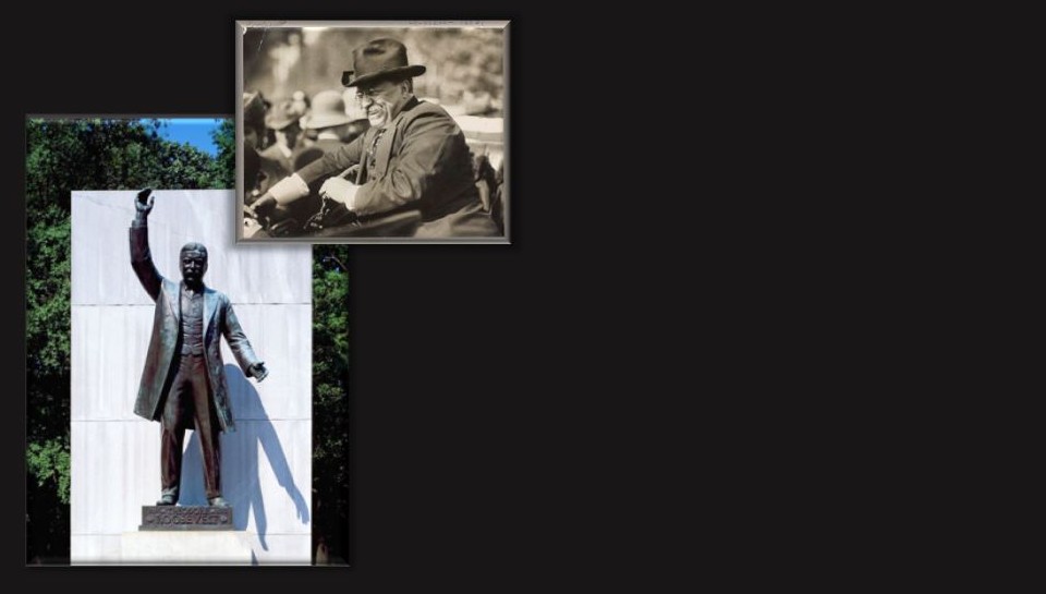 A gold dollar coin showing Teddy Roosevelt's image